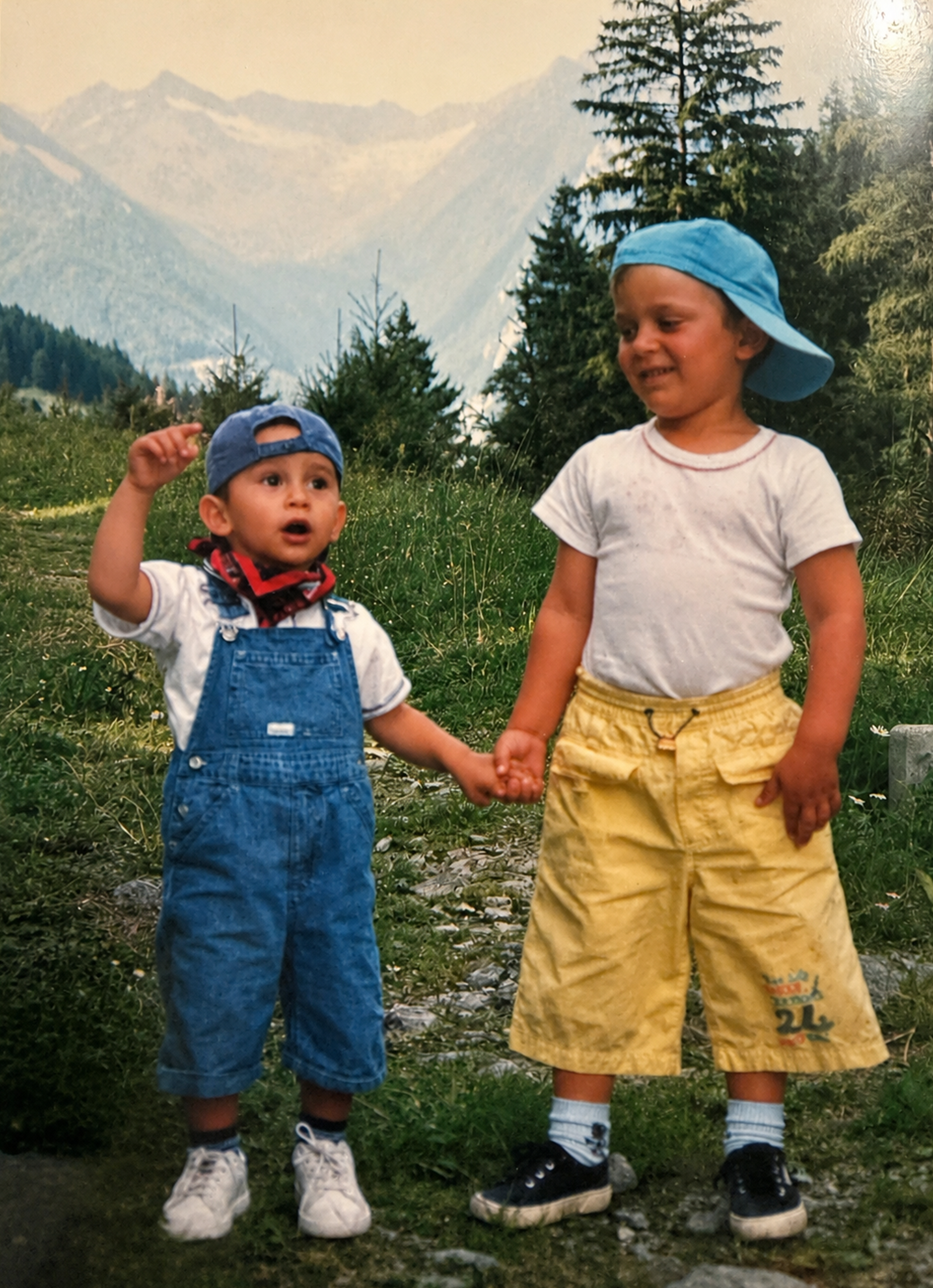 The original photo: two young brothers holding hands on a mountain meadow